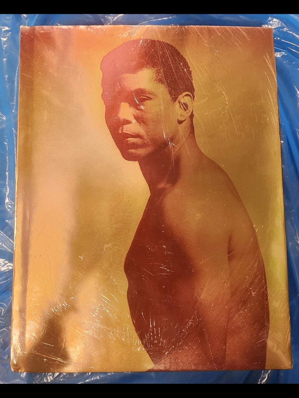 Edges Of Ailey Book